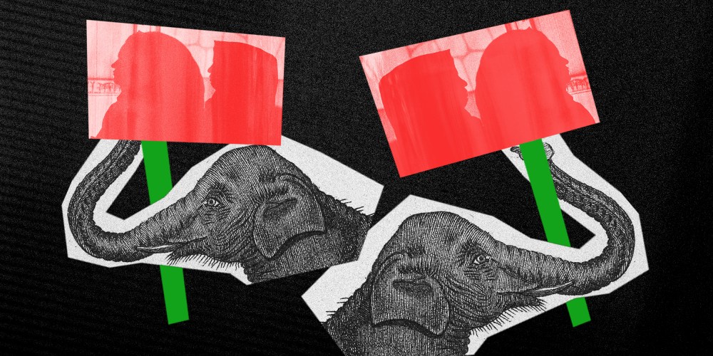 Photo illustration: Two cutouts of an elephant illustration, holding banners with the silhouettes of two Afghan women.