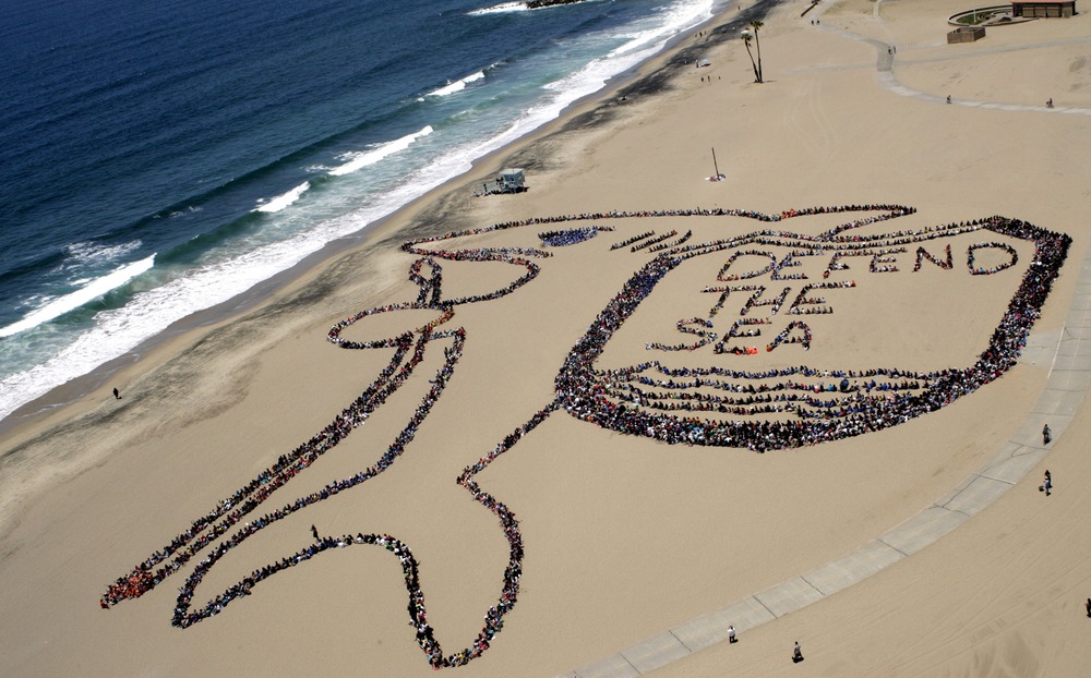 LOS ANGELES, CA - JUNE 7: More than 5,000 Los Angeles kids, teachers, and volunteers form the shape of a shark and shield that reads "Defend the Sea" in a bid to 'shield' the ocean from trash as part of the 19th annual Kids Ocean Day Adopt-A-Beach...