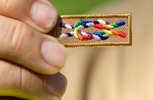 WASHINGTON, DC - MAY 22: A member of Scouts for Equality holds an unofficial knot patch incorporating the colors of the rainbow, a symbol for gay rights(Photo by Win McNamee/Getty Images)