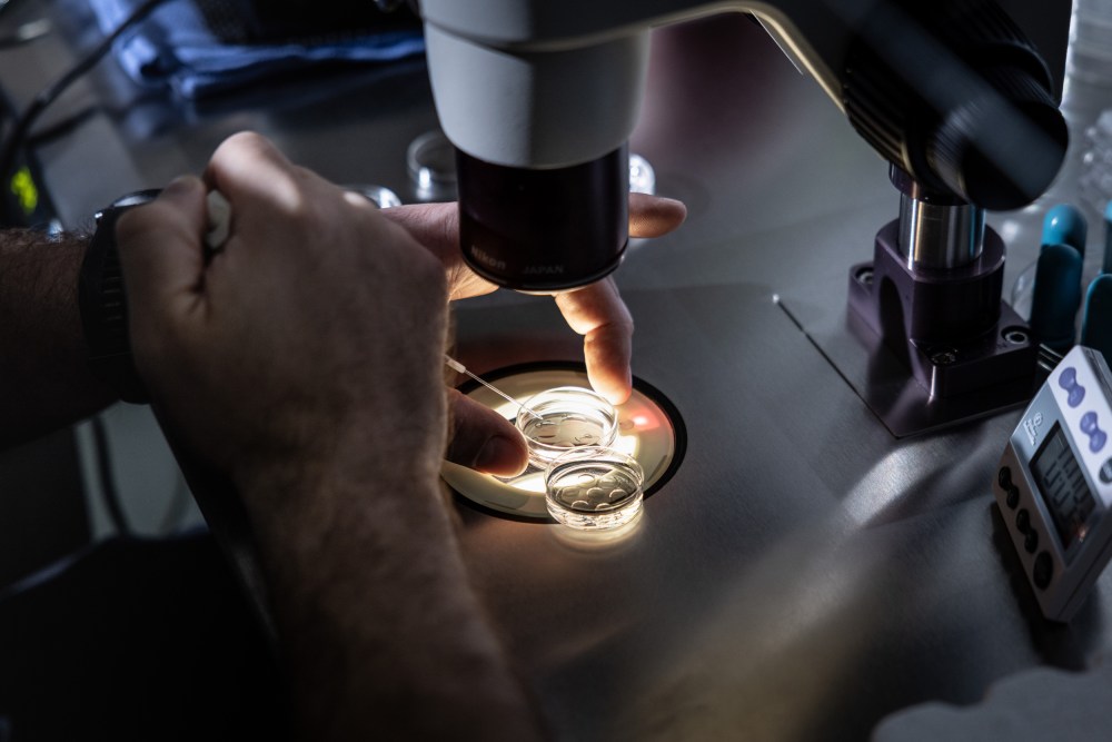 An embryologist adds media to petri dishes containing embryos, before freezing the embryos, in Fountain Valley, Calif.