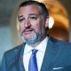Ted Cruz at the Capitol