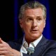 Gavin Newsom.