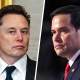 elon musk marco rubio politics political politician