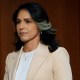 News: Intelligence Hearing Senate tulsi gabbard director of national intelligence