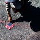 A boy reaches over to pick up a U.S. flag
