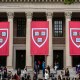 Harvard.