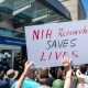 A sign is held in a crowd that says "NIH Research Saves Lives"