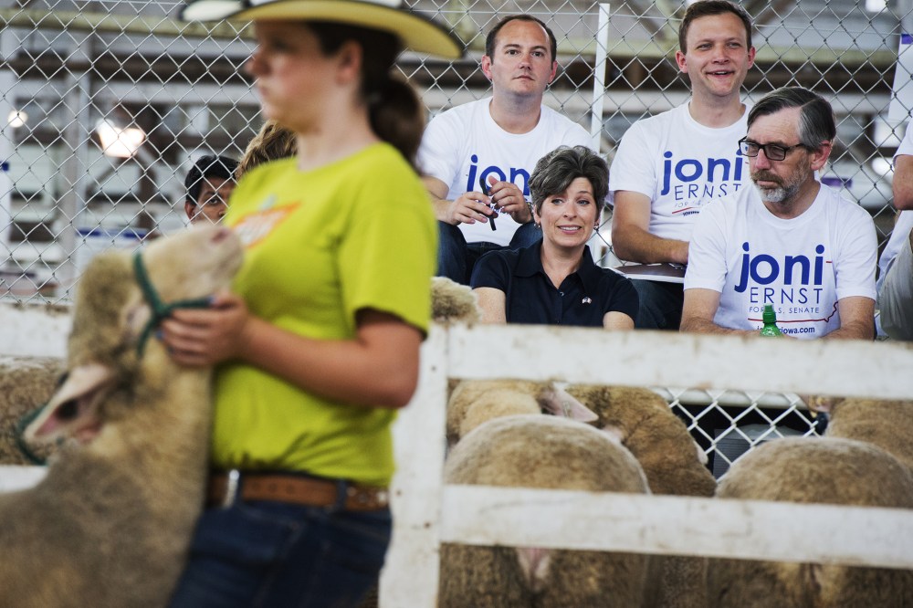 Joni Ernst, Iowa Republican Senate candidate, attends a sheep judging at the 2014 Iowa State Fair in Des Moines, Iowa, on Aug. 8, 2014.