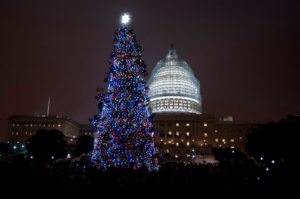 The Capitol Christmas Tree is lit in front of the U.S. Capitol on Dec. 2, 2014 in Washington, D.C. (Photo by Pete Marovich/Getty)
