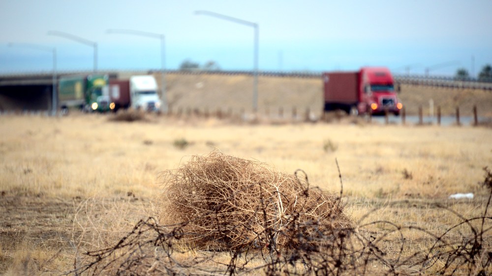 Tumbleweed rolls across a dried out landscape in central California's Kern County as trucks head south toward the Grapevine to begin the climb over the Tejon Pass leading into Southern California, on Feb. 3, 2014.