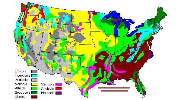 Paleo-politics: The really long view