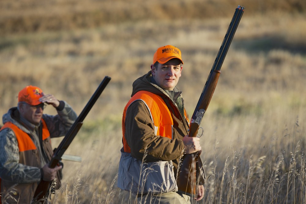 Sen. Ted Cruz at a pheasant hunt in Akron, Iowa on Oct. 26, 2013. (Photo by Nati Harnik/AP)
