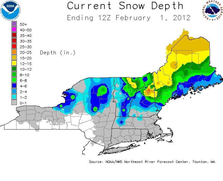 Is it really January?