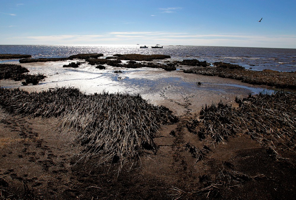 Oil is seen deposited along dead marsh land near Bay Jimmy on Jan. 7, 2011 in Port Sulphur, La. (Photo by Sean Gardner/Getty)