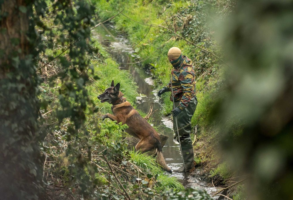 A Belgium soldier with his dog takes part in a search operation in the Rodenburg neighbourhood of the city of Kortrijk in west Flanders on March 31, 2016. (Photo by Philippe Huguen/AFP/Getty)