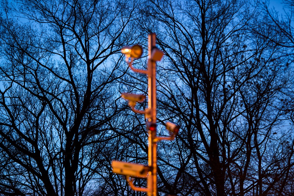 A camera tree used to photograph vehicles that are speeding, or that run a red light, glows at dawn in front of a cluster of real trees along Military Road, Dec. 20, 2013 in Washington, D.C.