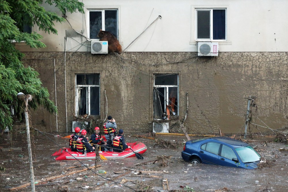 A runaway bear sitting on the window of the second floor of a building on the flooded street in Tbilisi, Georgia on June 14, 2015. (Photo by Beso Gulashvili/Goergian Prime Minister's Press Service/EPA)