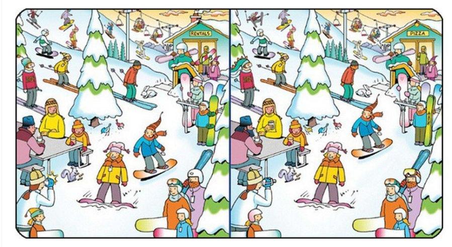 Double Check It Out!