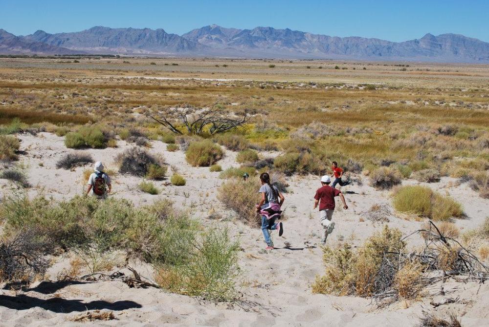 Political metaphor waits to happen: Devil's Hole Pupfish edition