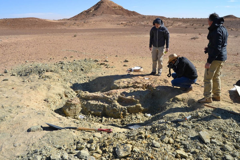 The excavation site of the first specimen of the new crocodile-like species, Machimosaurus rex. These fossils were found in the Tataouine region of southern Tunisia, on the edge of the Sahara Desert.