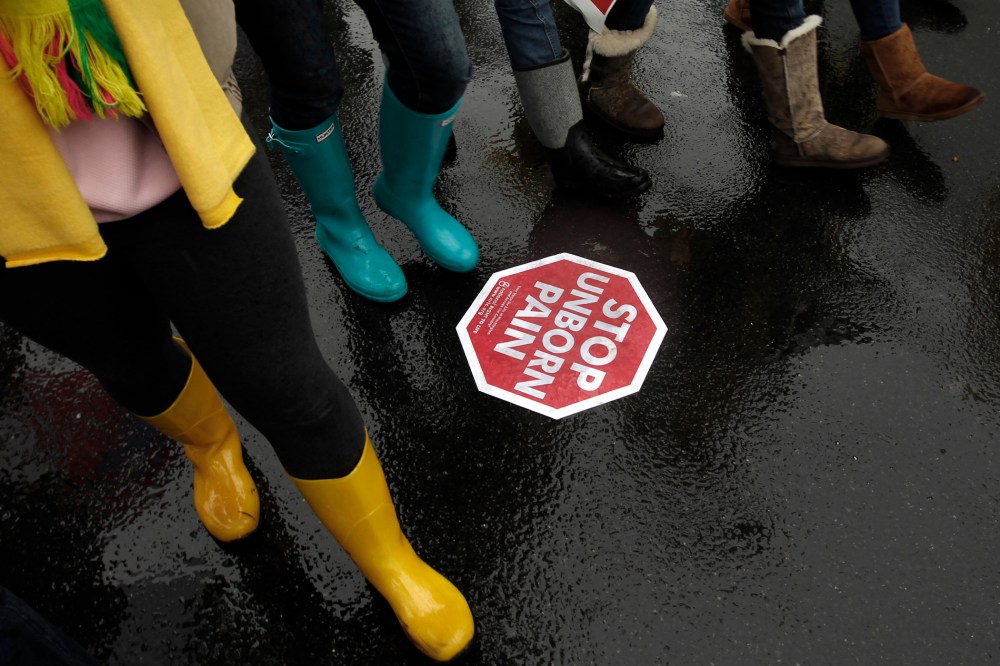 Anti-abortion demonstrators take part in the "March for Life" in Washington