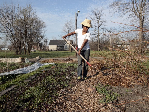 Detroit Farming - Jane Timm - 08/30/2013