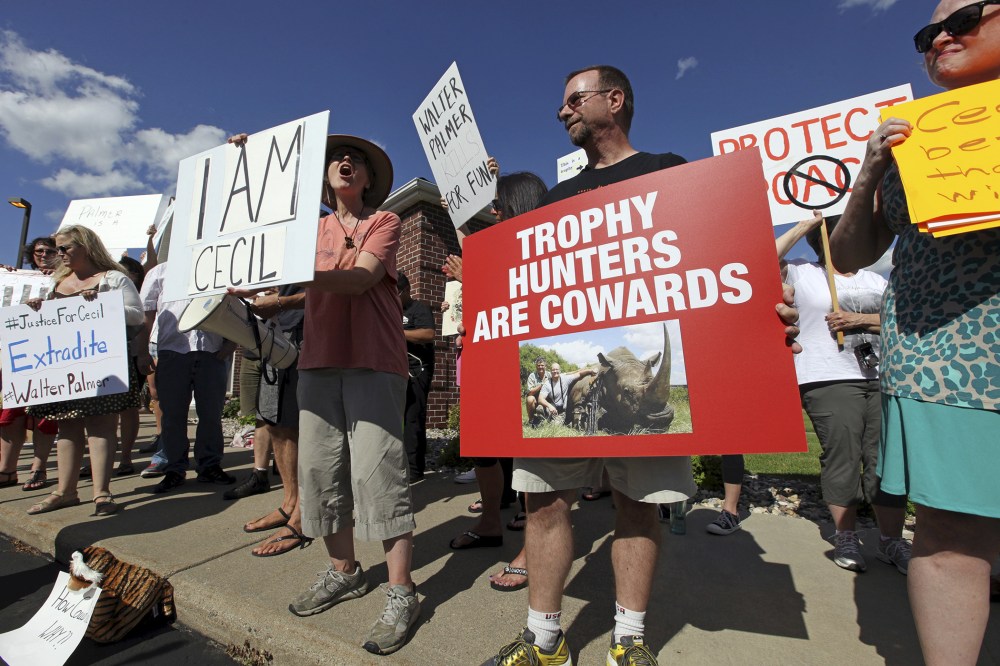 Protesters rally outside the River Bluff Dental clinic against the killing a famous lion in Zimbabwe, in Bloomington, Minn. on July 29, 2015. (Photo by Eric Miller/Reuters)