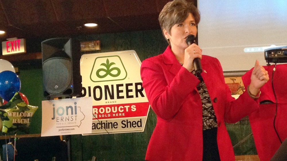 Republican Iowa State Sen. Joni Ernst speaks to veterans at a restaurant Monday, July 28, 2014, in Urbandale, Iowa.