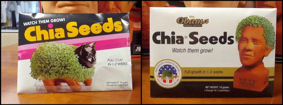 Grow your own candidate!