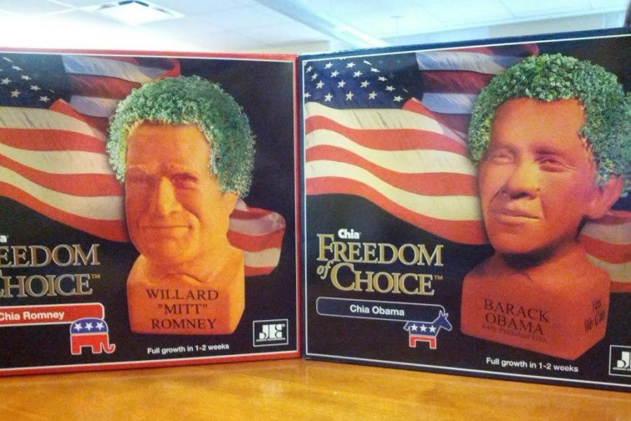 The Chia heads