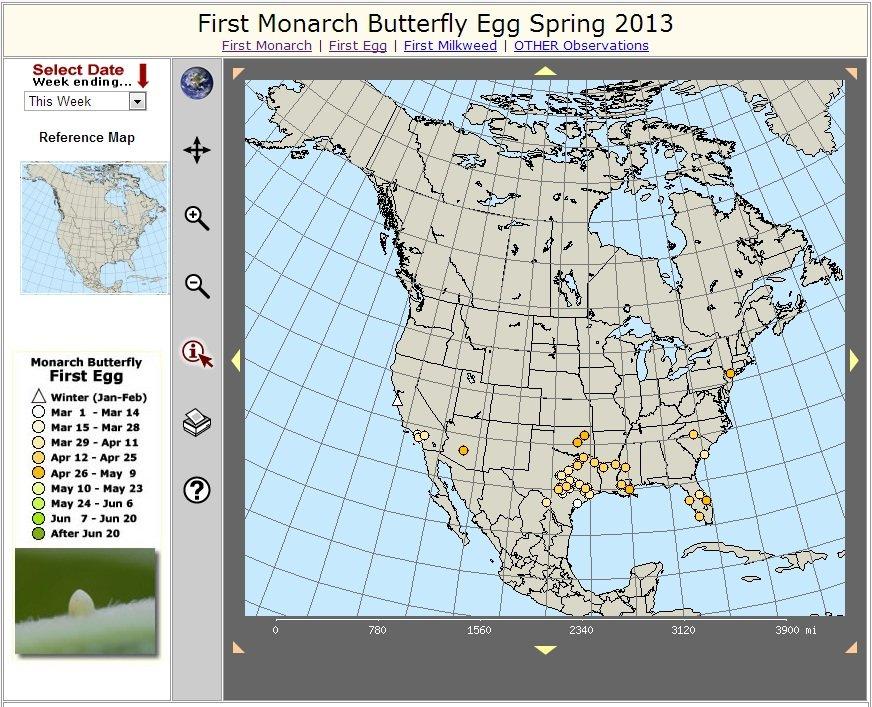 The Butterfly Project: 2013