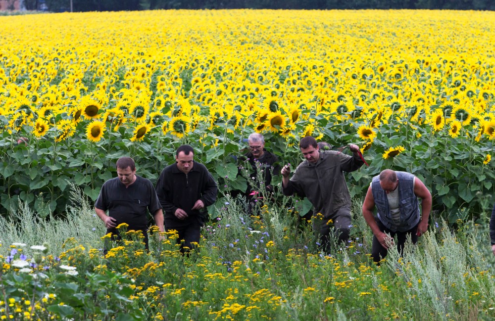 Ukrainian coal miners search the site of a crashed Malaysia Airlines passenger plane near the village of Rozsypne, Ukraine, July 18, 2014.