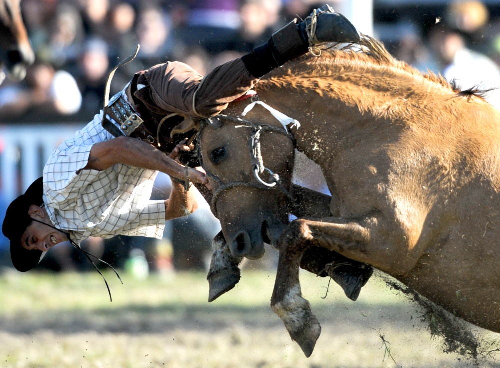 A gaucho or cowboy falls down after riding a horse during a rodeo competition in Montevideo, Uruguay, Friday, April 6, 2012