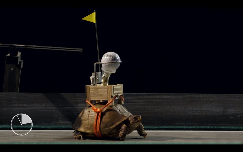 Still frame from World's Slowest Rube Goldberg | Field Day Presents Bob Partington