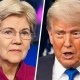 Senator Elizabeth Warren and President Donald Trump.