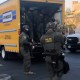 More than a dozen people were taken into custody in an immigration enforcement operation called "Trojan Horse" at a Home Depot in Los Angeles.