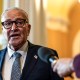 Image: Senate Democratic Leader Chuck Schumer Speaks To Reporters On Capitol Hill