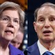 Elizabeth Warren ron wyden politics political politicians