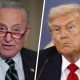 Chuck Schumer; Donald Trump