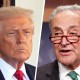 Donald Trump; Chuck Schumer.