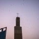 Bats fly over a church tower in Jos, Nigeria.