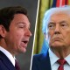 Ron DeSantis; Donald Trump.